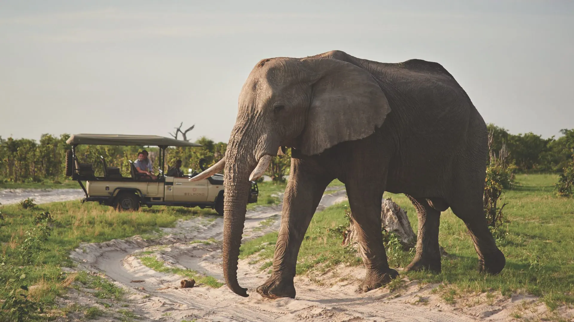 KKTWW Belmond Safaris Botswana