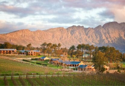 KKTWW & Saveur Magazine Present: An Expression of South Africa’s Terroir